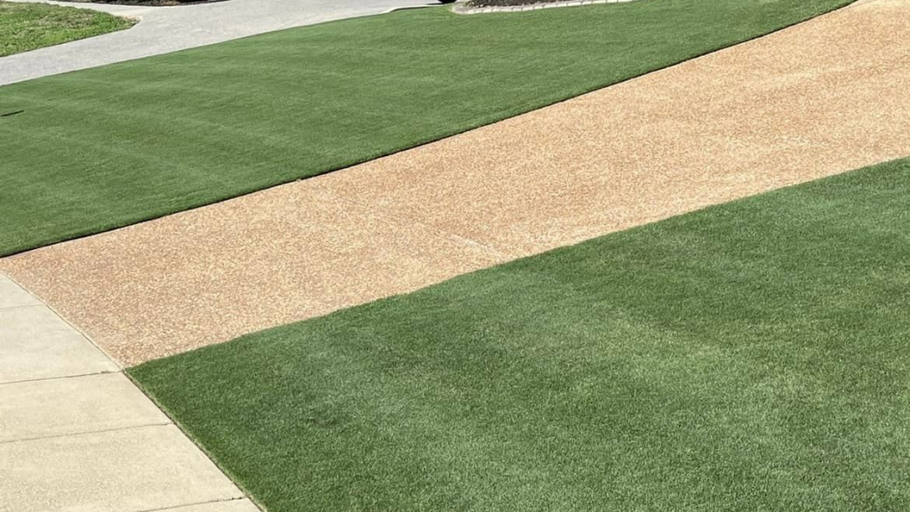 Mowing Bermudagrass Ideal Cut Height The Bermuda Bible